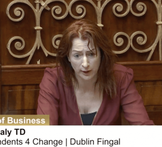 TD Clare Daly calls for outright ban on hare coursing