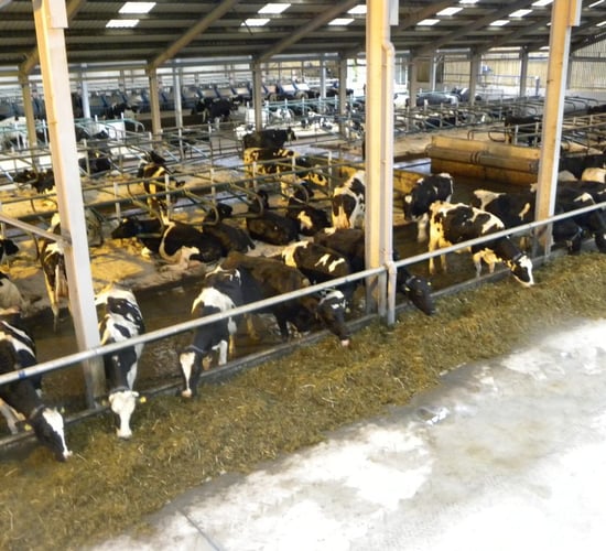 Minister launches booklet at Dairy Forum to help farmers plan cashflow better