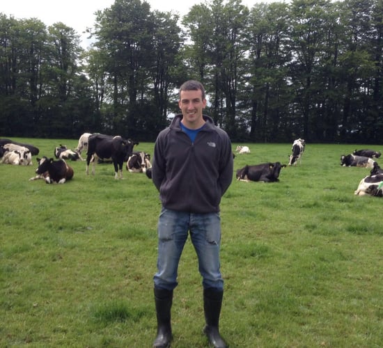Pics: Behind the scenes at the Teagasc/FBD Student of the Year's farm