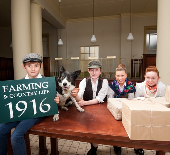 50,000 people expected at Teagasc's Farming and Country Life 1916