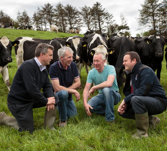 'One third of Ireland's milk is produced on heavy lowland or hilly soils'
