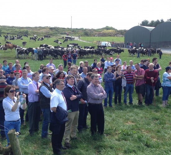Getting milk quality right - top tips from a top dairy farm