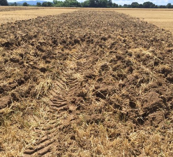 Soil selenium levels set to crash