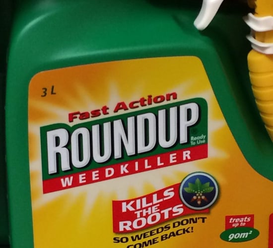 Bayer to agree settlement in Roundup case - reports