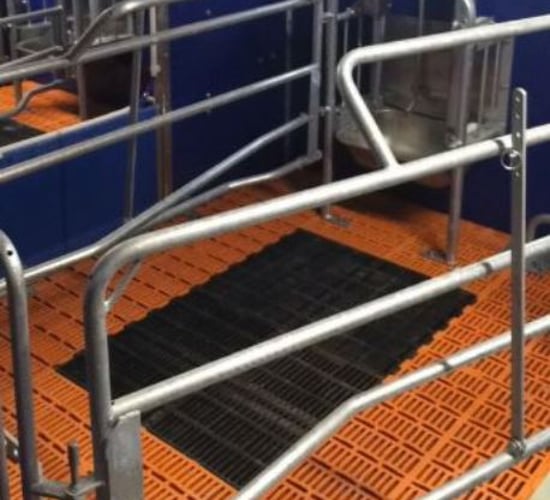Farmers get a behind the scenes look at Teagasc's new €3.5m Pig Development Unit