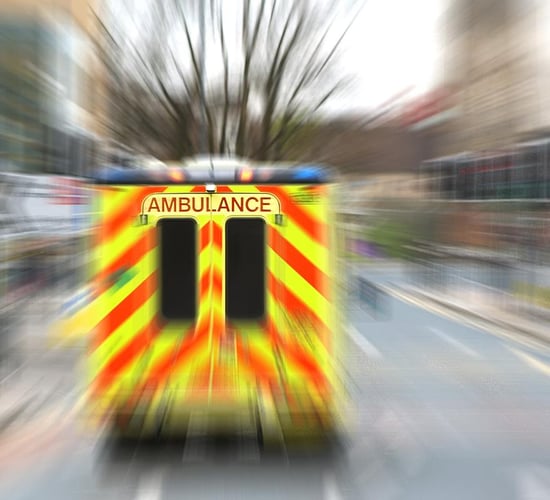 Woman killed in a farm accident involving a cow
