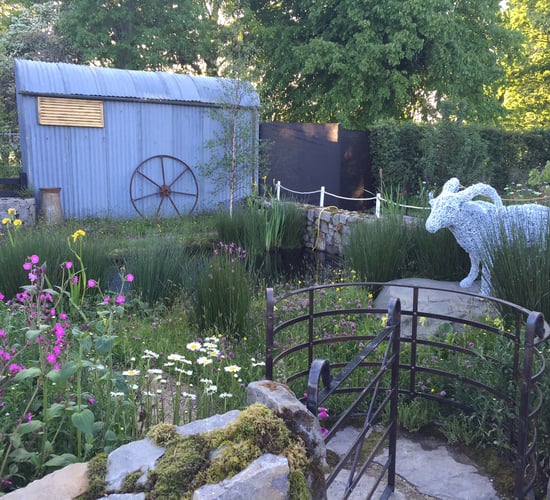 Pictures: Some of the best gardens from Bloom this weekend 2016