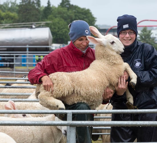 Pics: Cork Summer Show 2016 goes off 'without a hitch' (Despite the rain!)