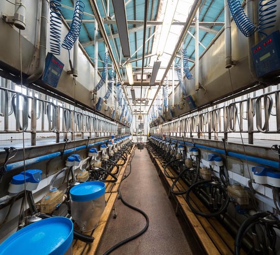 EU milk production growth starting to slow down