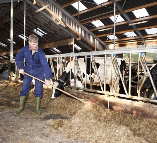 10 things to get your farming 'auld lad' this Father's Day