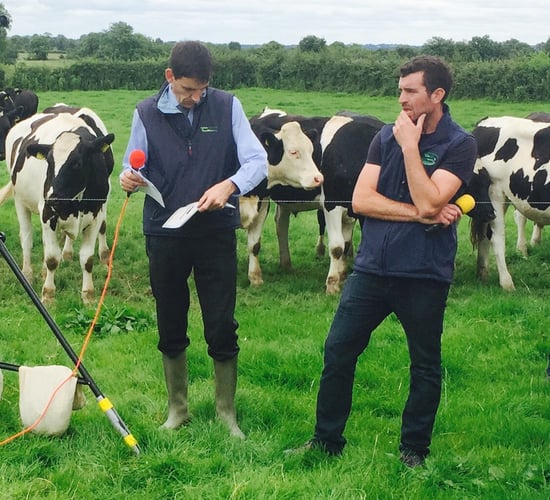 How this part-time beef farmer plans €1,800/ha of output to drive profit