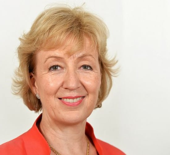 UK Agriculture Minister doesn't commit to continue direct payments post-Brexit