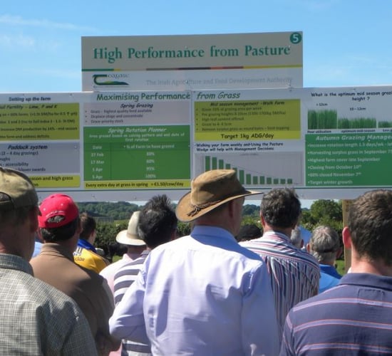 Heading to Teagasc Beef 2016? Here's what you should keep an eye out for