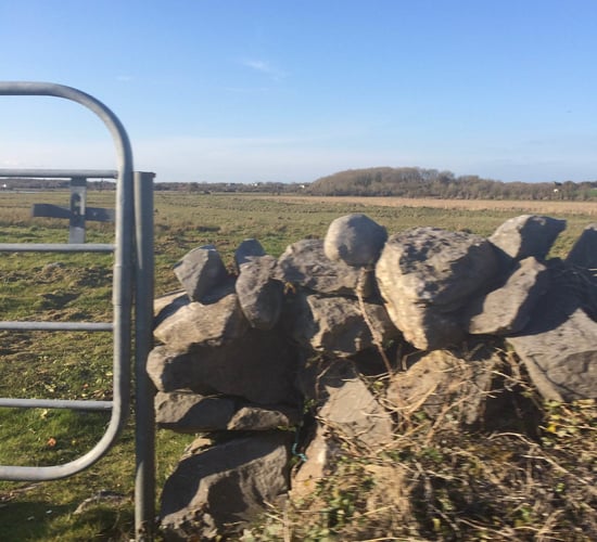 Department remains tight lipped over land eligibility appeals update