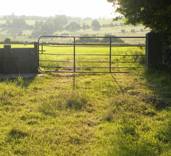 DAFM: ACRES scorecard deadline unlikely to be extended