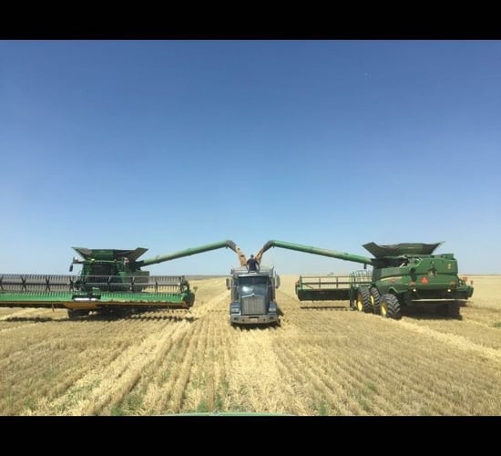 Think the Irish harvest looks good? Check out amazing pictures from the US harvest