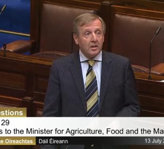 Ag Committee to question Minister Creed over cattle tag U-turn
