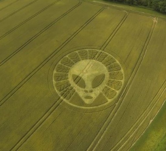 Crop circle of an alien appears in a field of wheat in the UK