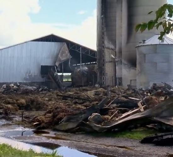 Video: Fire on family-run dairy farm kills 160 cows