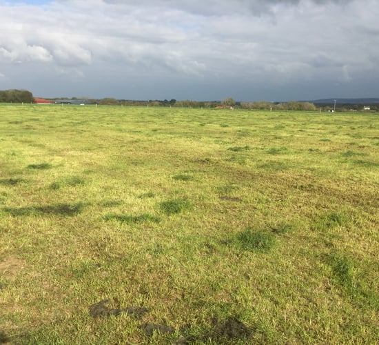 Grass growth: More rain needed in many areas
