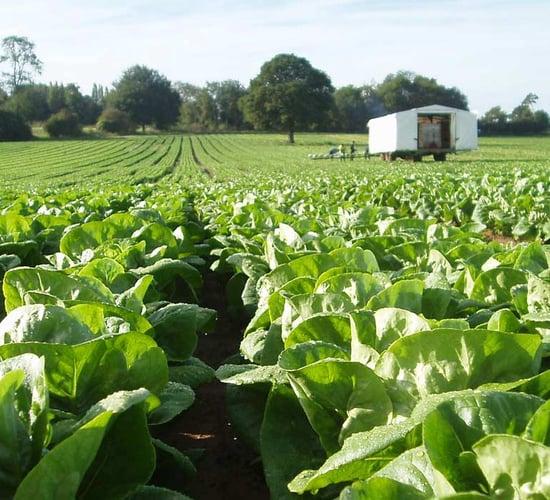Half of WRC inspections in agri sector encountered employment law breaches