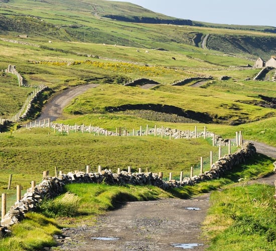 Corncrake may become no more than a memory if habitat degradation continues