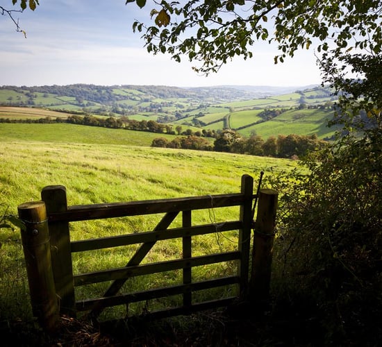 Calls for new farm inspection appeals board following High Court judgement