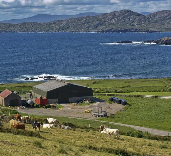 Key EU decision on agricultural emissions expected this month