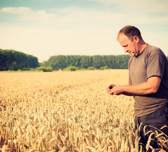 Farmers 'at high risk' of skin cancer...but prevention better than cure
