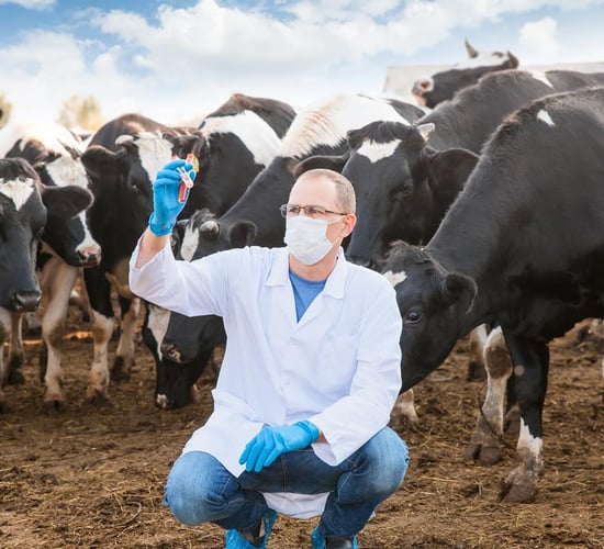 Call made for agri research proposals under 7 priority areas