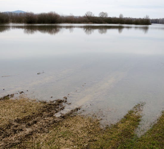 'Farmers and farming families are still under siege from rising flood waters'