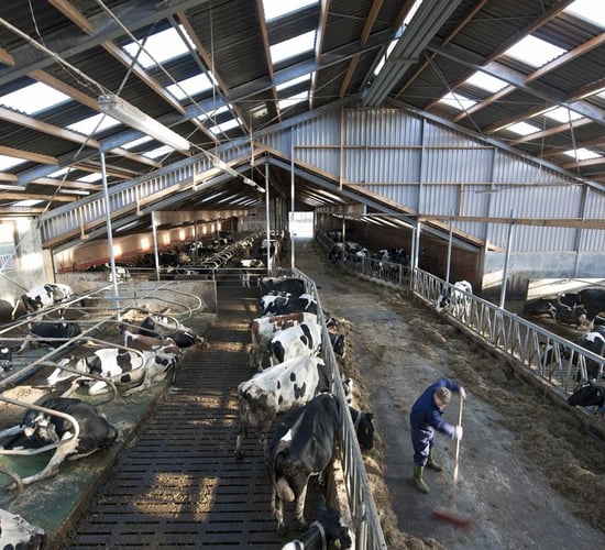 Macra urges young farmers to make farm safety a priority