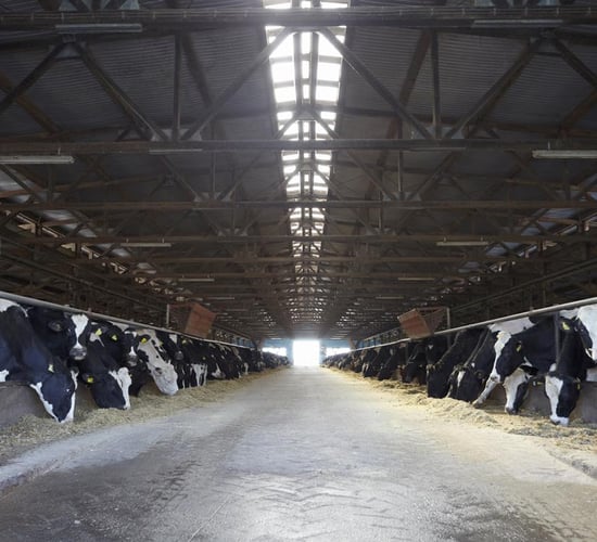 More details of the EU's Milk Reduction Scheme revealed