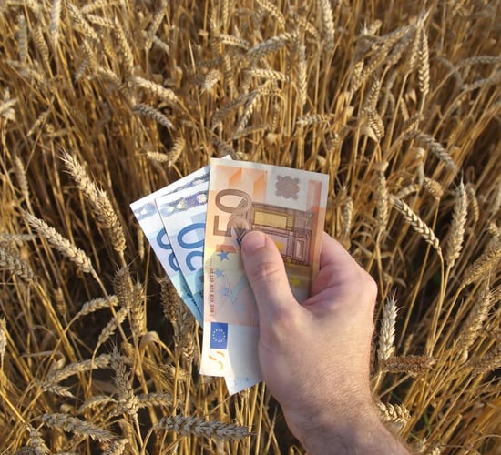 Will future risks be shared along the entire agri food chain?