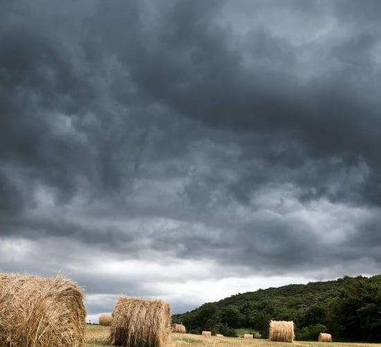 St Swithin's Day: Are we in for 40 days and nights of rain?