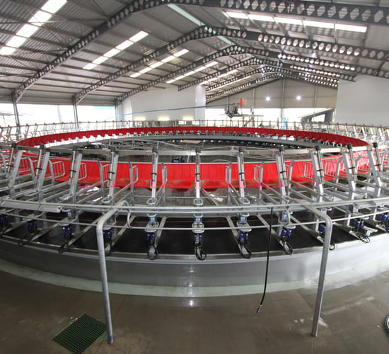 New Zealand company launch rotary dairy platform in Ireland and the UK