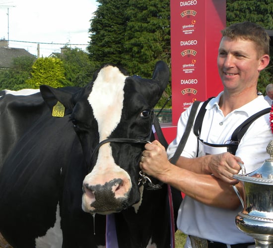 Wexford breeder wins Diageo Baileys Dairy Cow of the Year