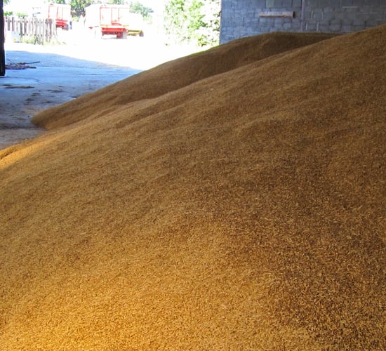 'No agreement' on Ukraine grain exports after tense Polish meeting