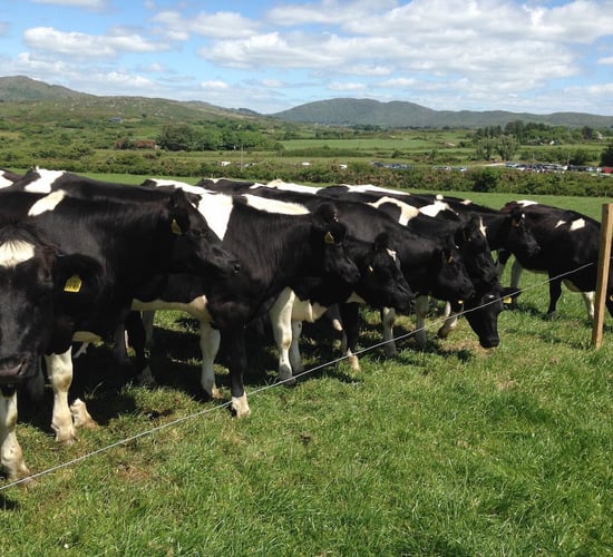 What's in store for farmers at this week's Teagasc National Dairy Conference?