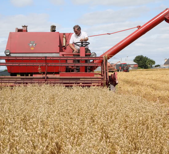 See machinery from the 1940s put through its paces at the Autumn Harvest Extravaganza