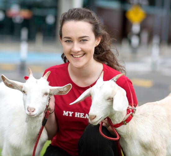 1,500 animals to fly from Shannon to Rwanda on Bothar's 25th anniversary
