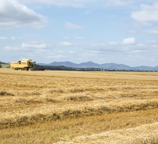 5 amazing farms for sale in the UK