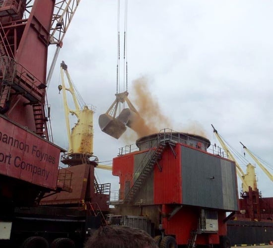 Calls for increased screening of imported grains