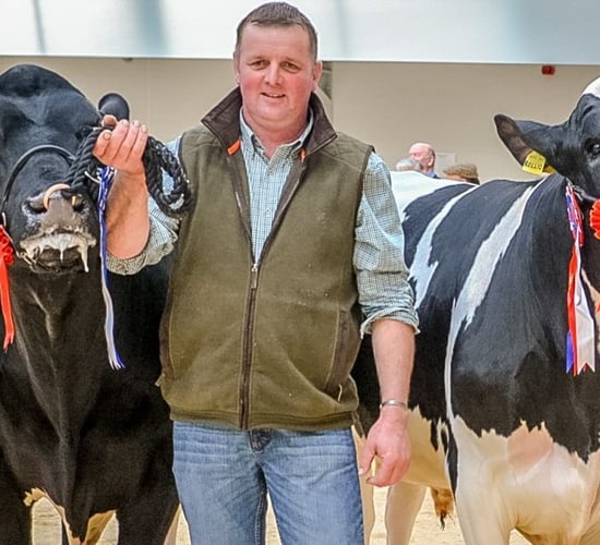 Final call for entries to this year's Baileys Cow competition