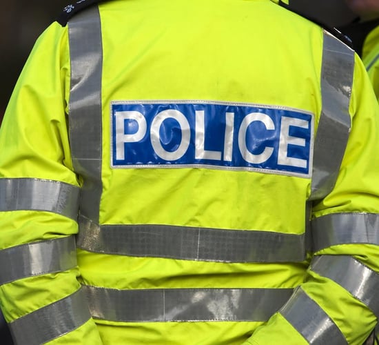 PSNI investigates theft of 12 sheep in Fermanagh