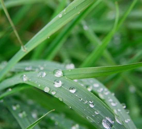 Met Éireann: Weather to turn unsettled from midweek