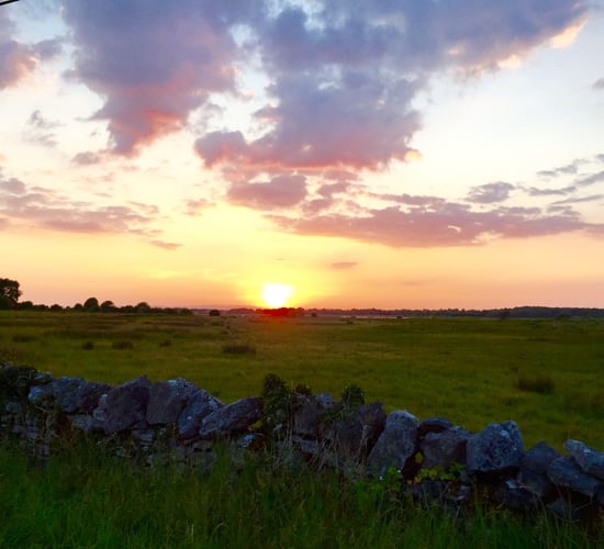 Weather settled for coming days, but wetter towards weekend