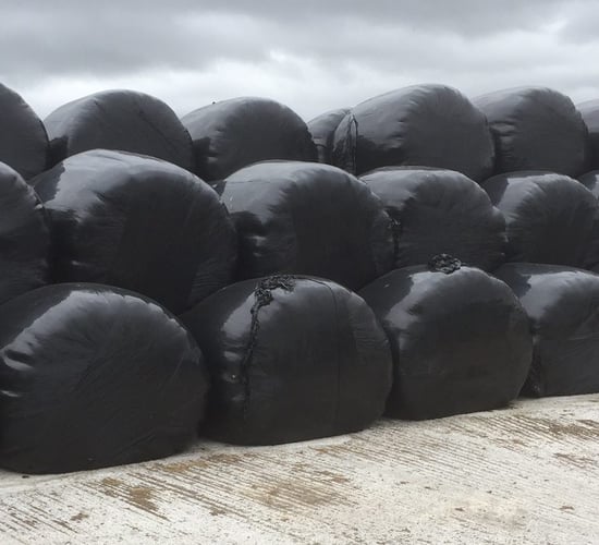 TD expects 'at least 70,000' farmers need fodder support