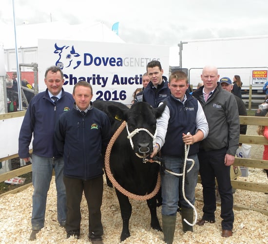 Dovea Genetics heifer auction raises over €16,000 for Bothar