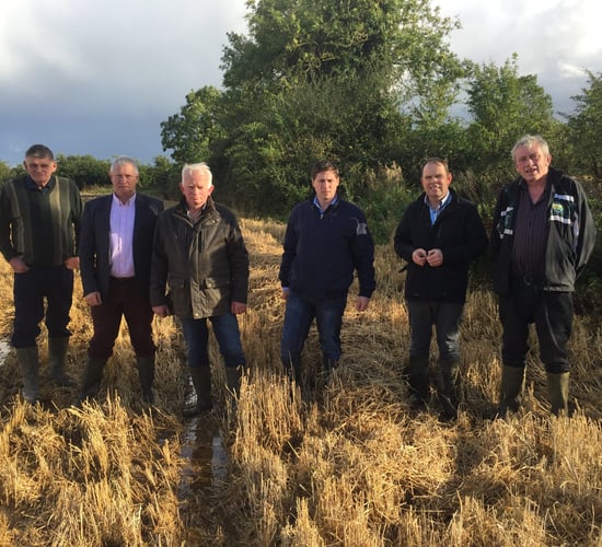 MEPs seek Government intervention for tillage farmers